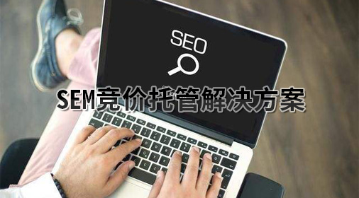 SEM竞价托管解决方案